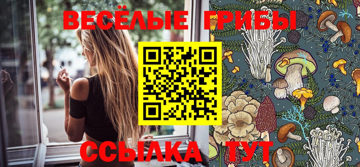 Галлюциногенные грибы мицелий  Вход с VPN  Урай  Псилоцибиновые грибы MAGIC MUSHROOMS 